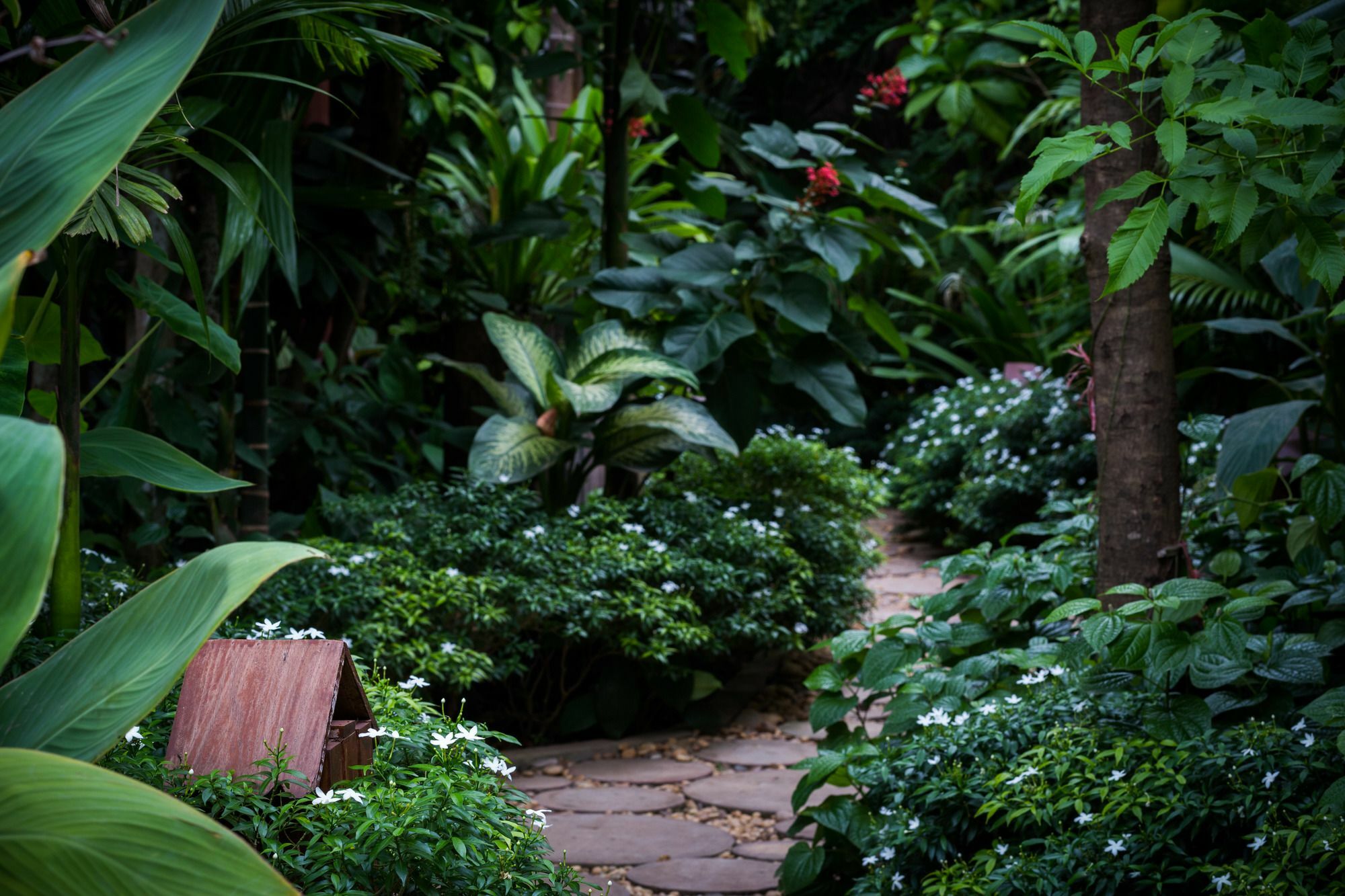 Malu Khmer Villa Сиемрип Экстерьер фото